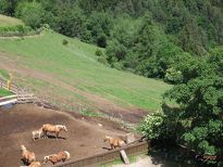 Landgasthof Zum Hirschen - Blick vom Balkon (Zimmer 12)