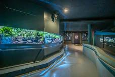 Nationalparkhaus aquaprad - Rampe