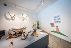 Nationalparkhaus Naturatrafoi - Ausstellung