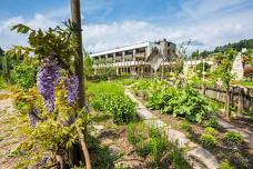 Gartenhotel Moser am See - Giardino