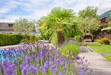 Hotel Ortler - Giardino
