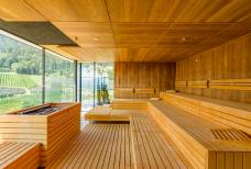 Alpiana Resort - Panorama Sauna