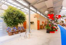 Ristorante Orchidea - Bagno