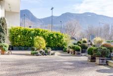Terrazza