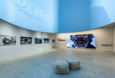 Esposizione pianoterra