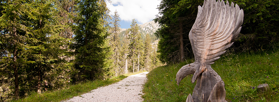 Naturerlebnisweg Zans im Villnößtal